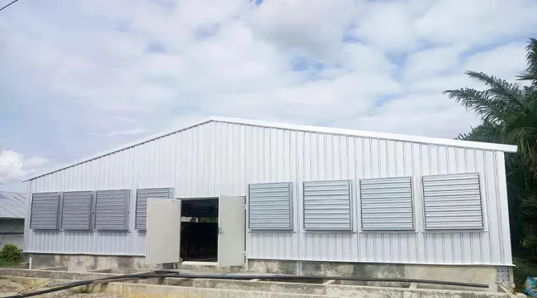 Steel Structure Chicken Coop: Design, Span and Cost Drivers