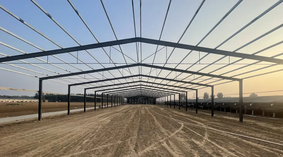 Simple Steel Structure Poultry House