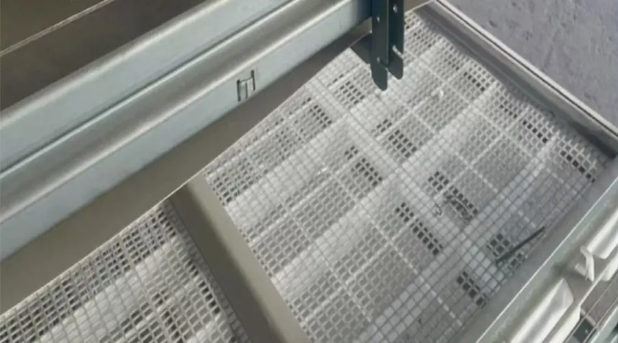 H-Type Semi-Automatic Broiler Cage with Pull-Out Harvesting System