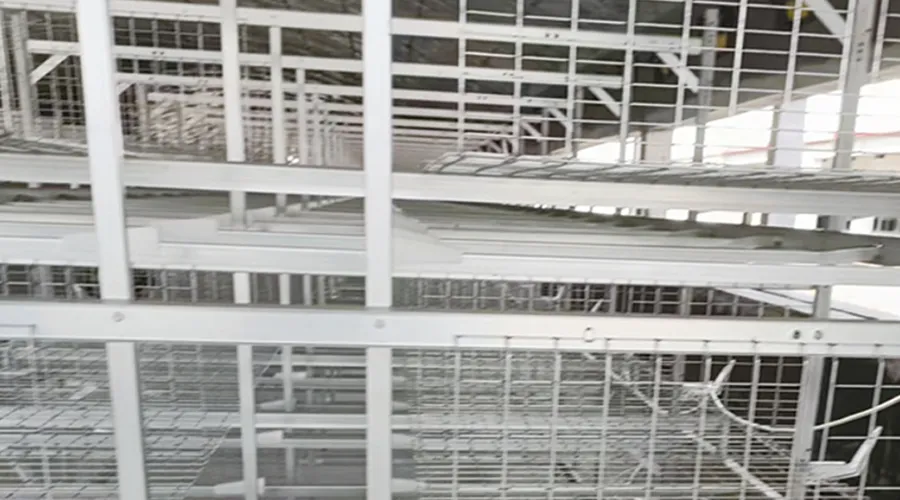 Double Broiler Battery Cage (3/4 Tiers)