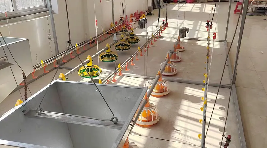 Broiler Floor Farming Equipment