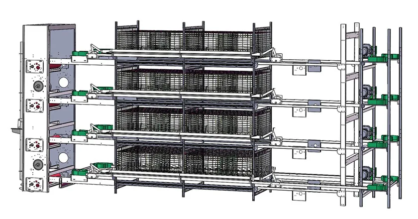 H-Type Automatic Broiler Cage with Harvesting System