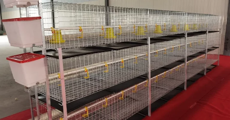 H-Type Simple Broiler Cage