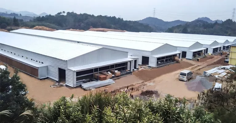 Steel Structure Poultry House