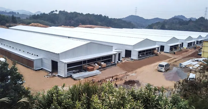 Steel Structure Poultry House