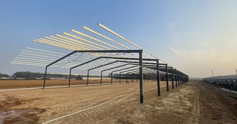 Simple Steel Structure Poultry House