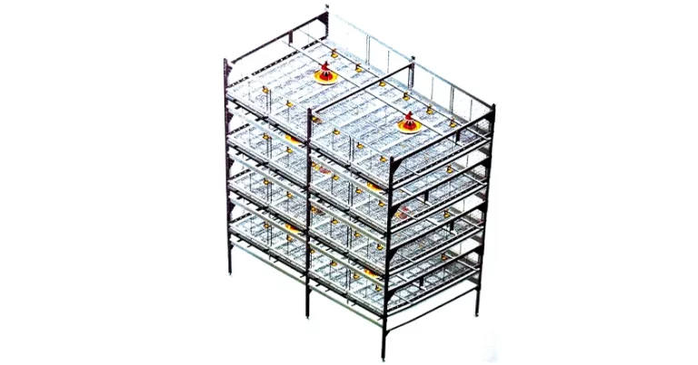 H-Type Semi-Automatic Broiler Cage with Pull-Out Harvesting System
