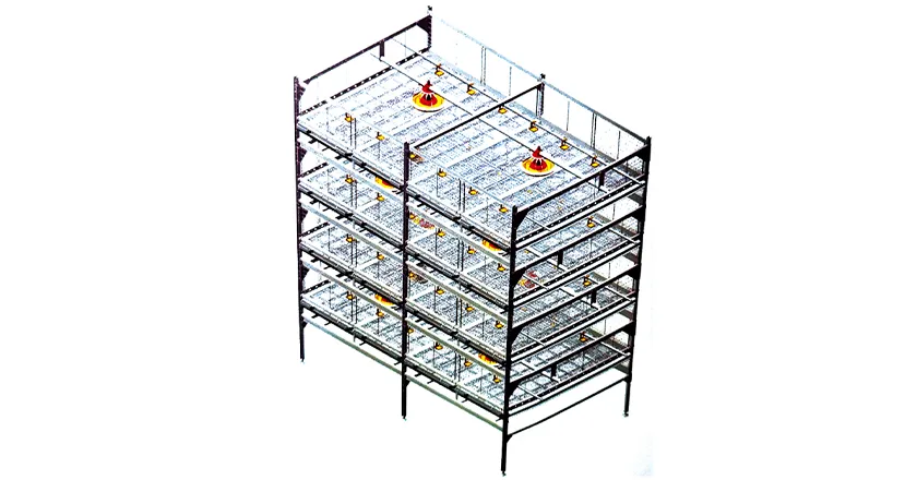 H-Type Semi-Automatic Broiler Cage with Pull-Out Harvesting System