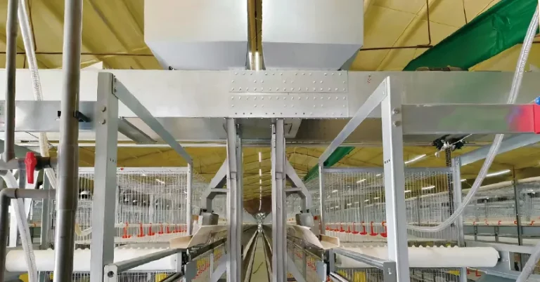 Gantry Travelling Automatic Feeding System