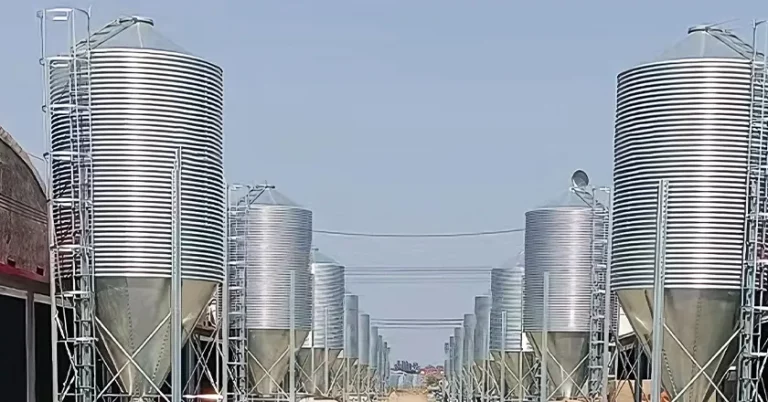 Feed Silo System