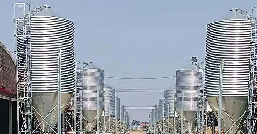 Feed Silo System