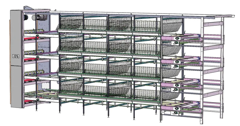 H-Type Automatic Broiler Cage with Harvesting System