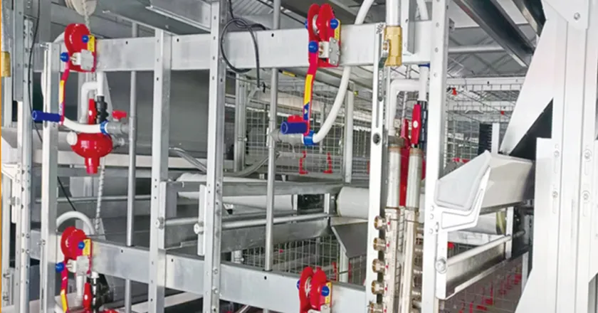 Double Broiler Battery Cage (3/4 Tiers)