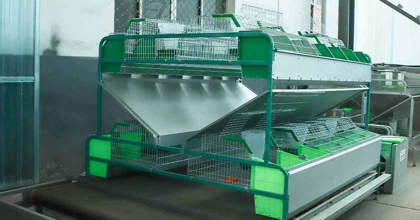 European Style Breeding Integrated 24-Cage Automatic Rabbit Feeding System