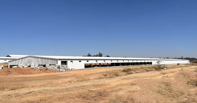 Steel Structure Poultry House