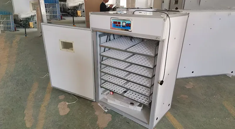 Hatchery & Brooding System for Poultry Farming