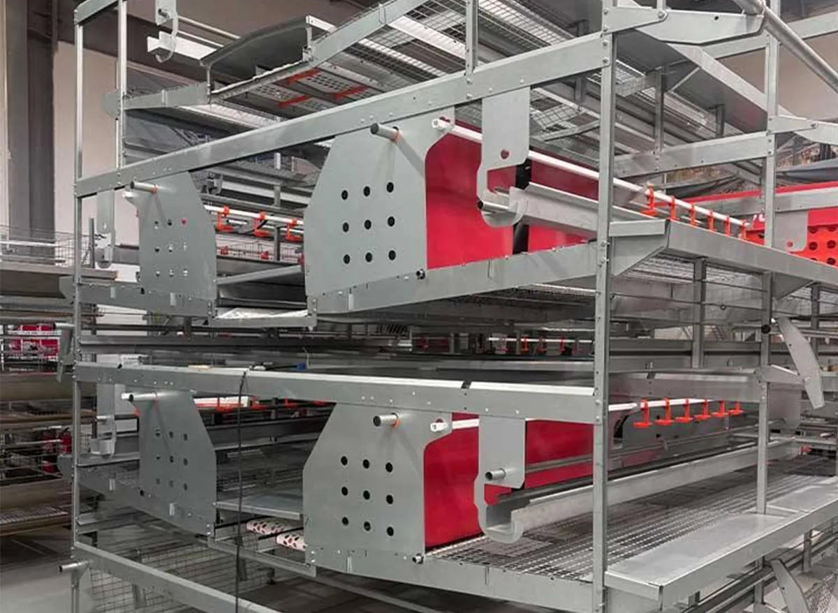 Automatic Enriched Cage System for Layer Chickens with Animal Welfare Design