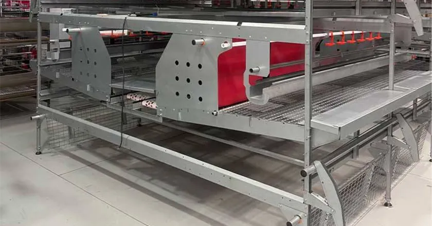 Automatic Enriched Cage System for Layer Chickens with Animal Welfare Design