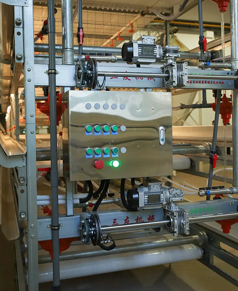 Broiler Production Systems