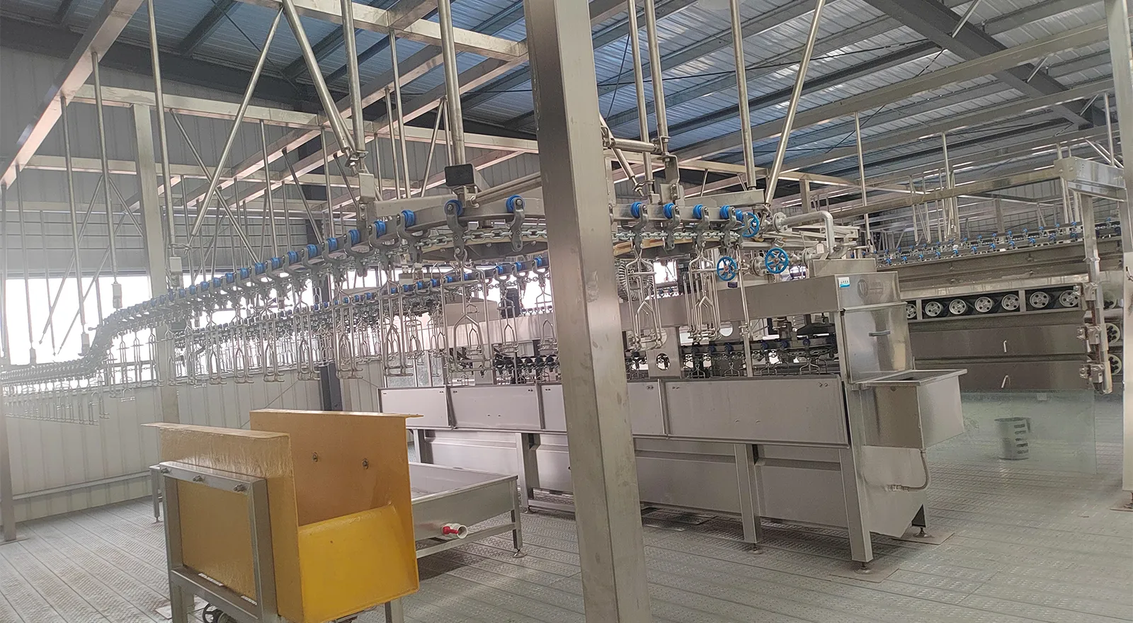 Automatic Broiler Slaughtering Line