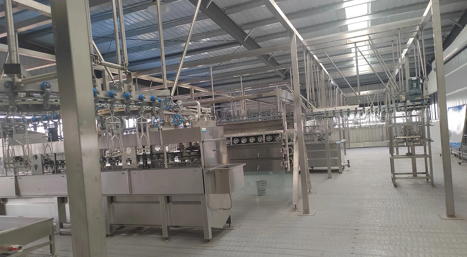 Automatic Broiler Slaughtering Line