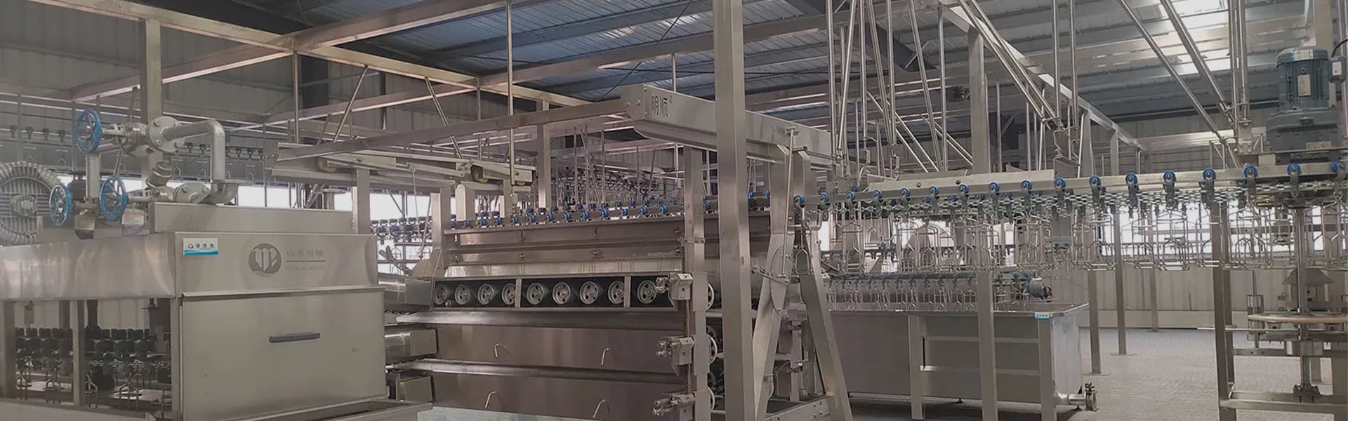 Automatic Broiler Slaughtering Line