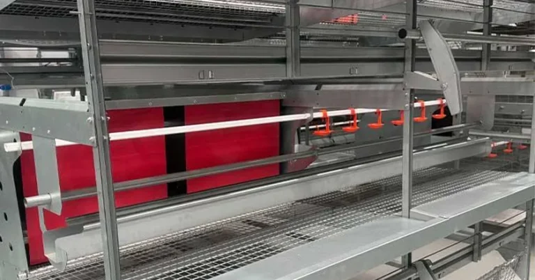 How Many Types of Cages Are in Poultry? A Practical Guide to Chicken Cage Systems for Modern Poultry Farms
