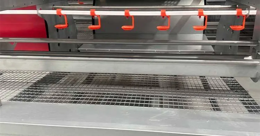 Automatic Enriched Cage System for Layer Chickens with Animal Welfare Design