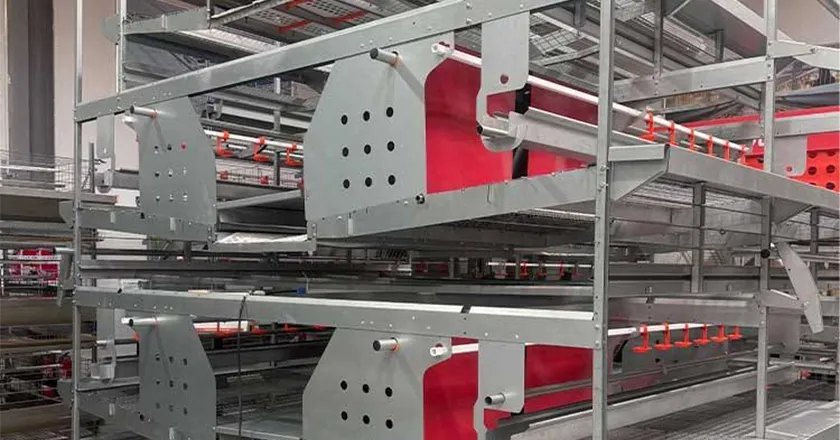 Automatic Enriched Cage System for Layer Chickens with Animal Welfare Design