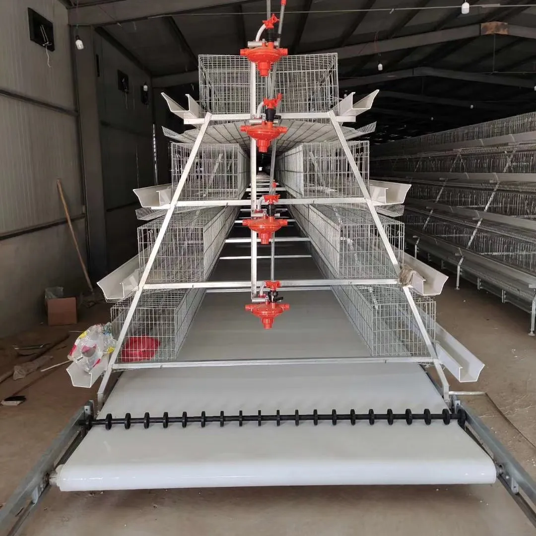 A-Type Chicken Cage Breeding System