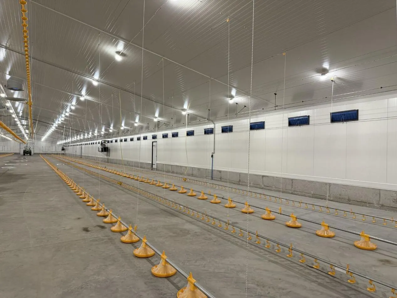 Broiler Breeding Equipment 