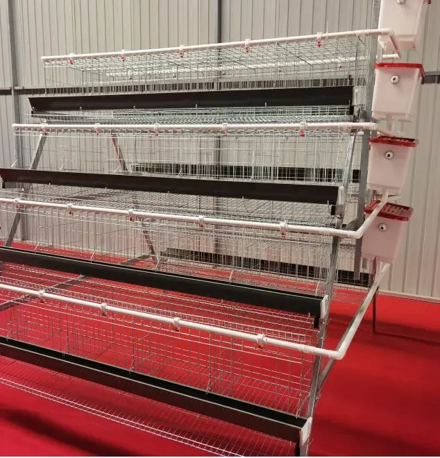 Professional Chicken Cage Raising Equipment 