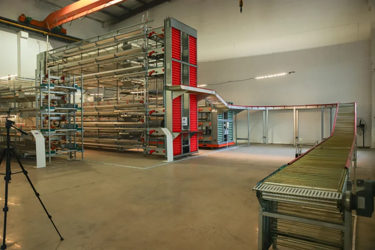 Professional Chicken Cage Raising Equipment —— Efficient Farming・Convenient Income・Global Trust