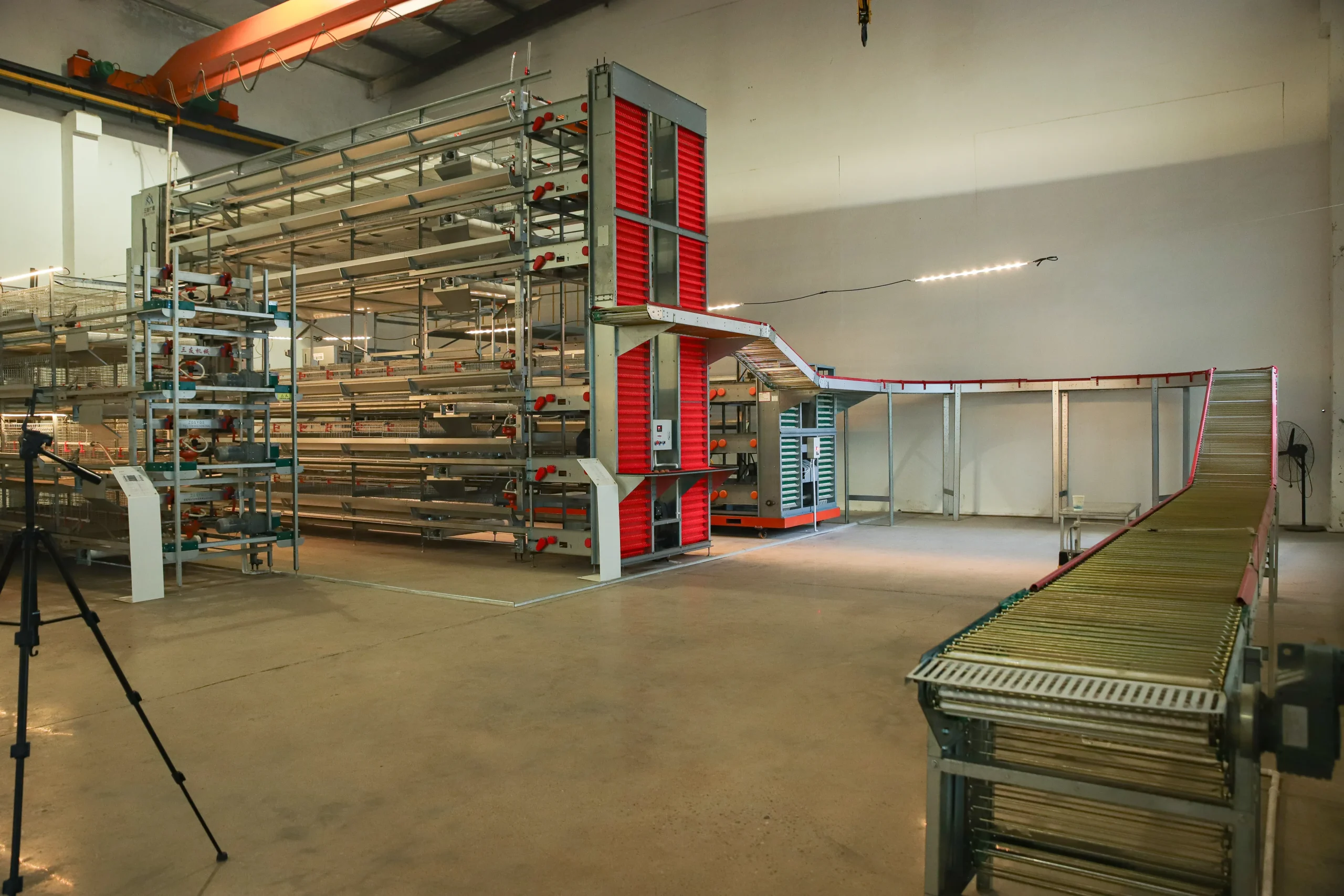 Professional Chicken Cage Raising Equipment