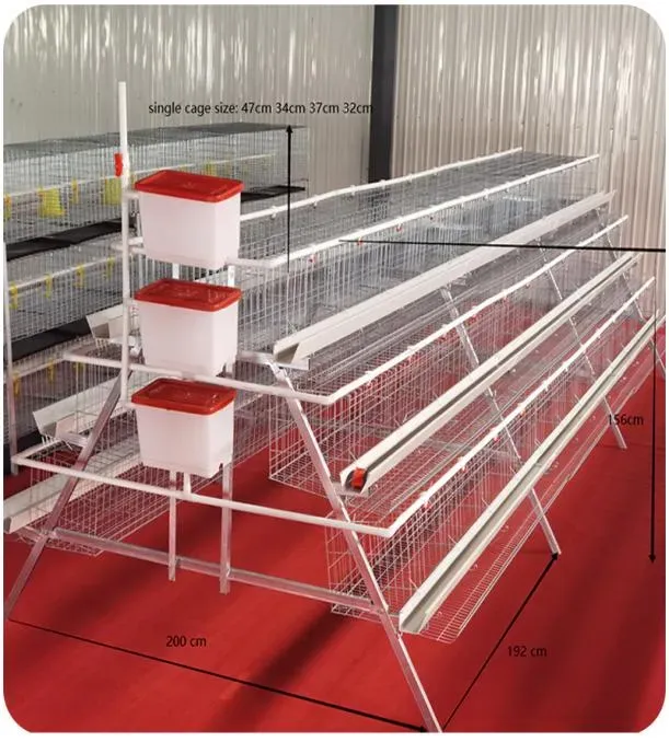 Professional Chicken Cage Raising Equipment 