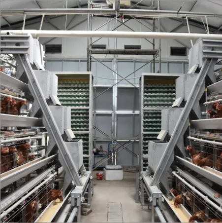 Professional Chicken Cage Raising Equipment