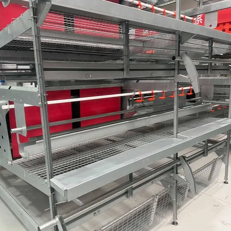 Welfare-Enriched vs. Automated Battery Cages: Which Fits Your Poultry Farm in 2026?