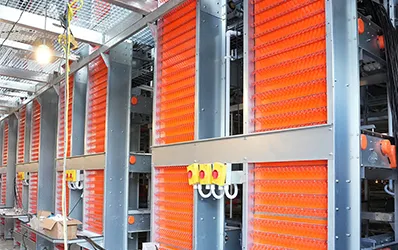 Automatic Egg Collection System