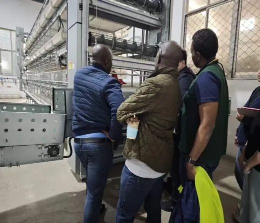 British Clients Visit Our Factory and Sign 50,000-Layer Automatic Cage Project for Nigeria
