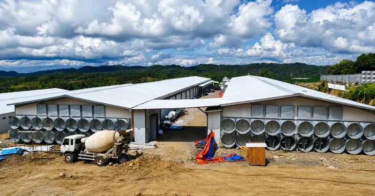Poultry Housing System: How to Build a Modern Poultry House for Efficient Poultry Production