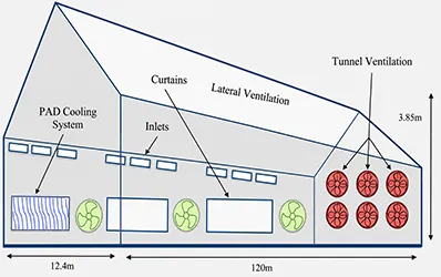 Poultry Farm Layout Design