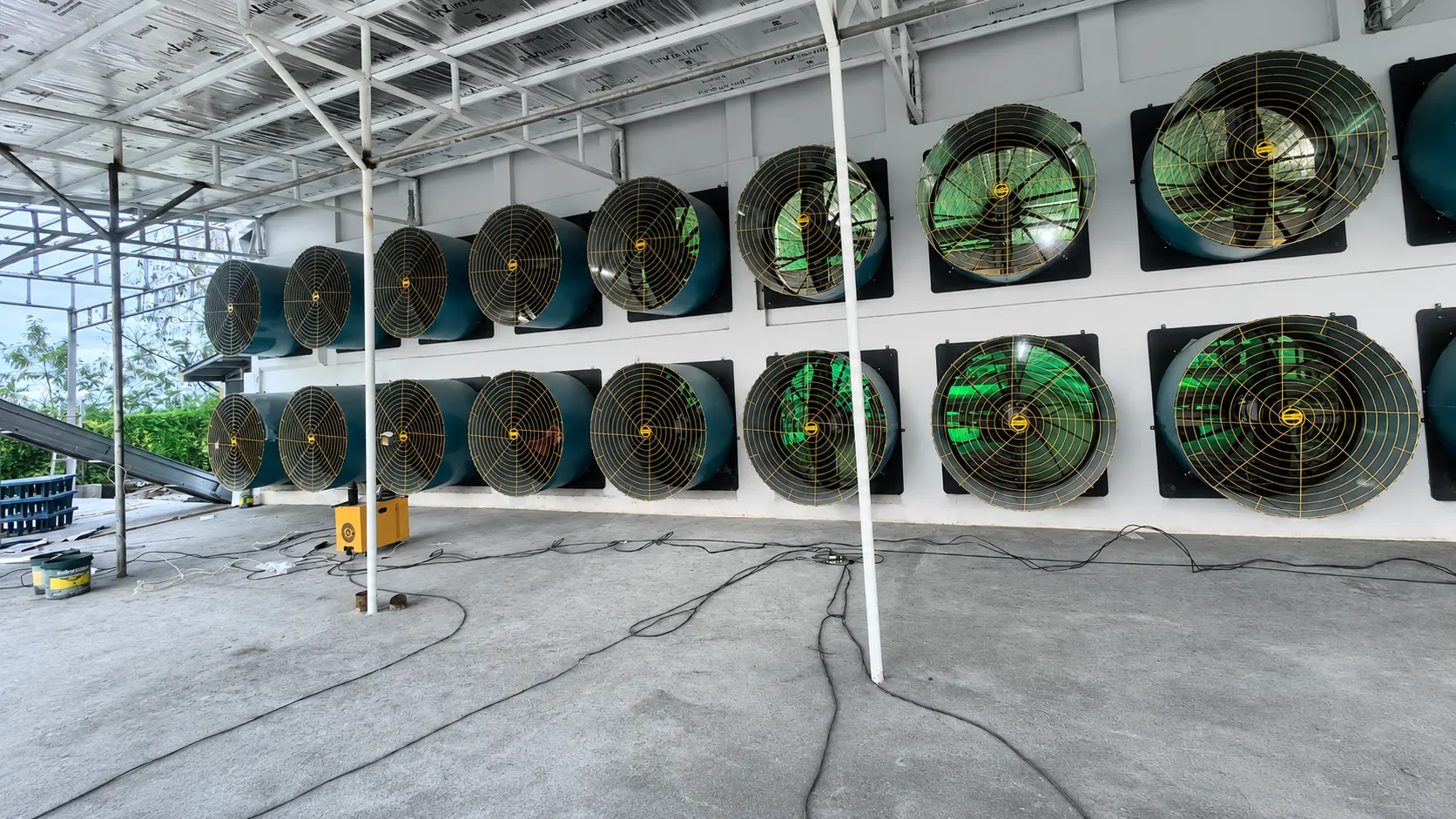 Philippines Poultry Farm Project: Automatic Layer Cage System and Turnkey Poultry Equipment Installation 6 Philippines Poultry Farm Project: Automatic Layer Cage System and Turnkey Poultry Equipment Installation 5