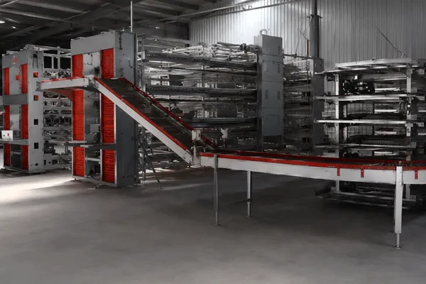 Poultry Farming Equipment Automatic H-type Layer Cage turnkey  projects