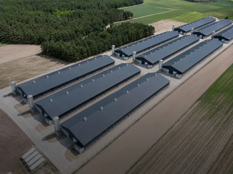 Nigeria 200,000 Layer Chicken Cage Layer System Turnkey Project