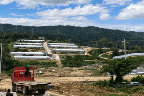 One-stop turnkey project for poultry battery cage chicken cage system 1