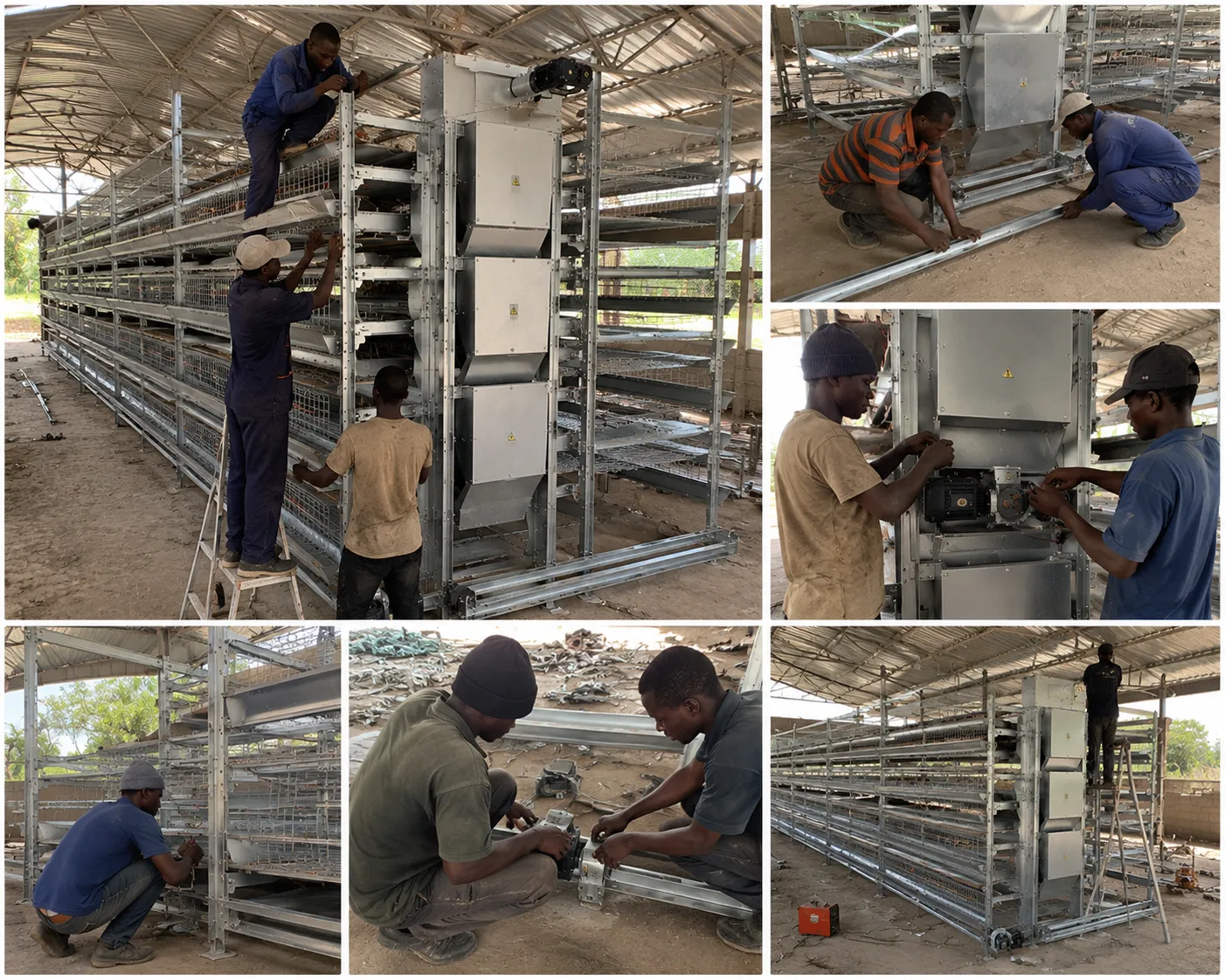 Shandong Mugong Farming Equipment Co., Ltd. Officially Completes and Commissions 1 Million Layers Modern Layer Chicken Full Industrial Chain Project in Haut-Katanga Province, Democratic Republic of the Congo 19