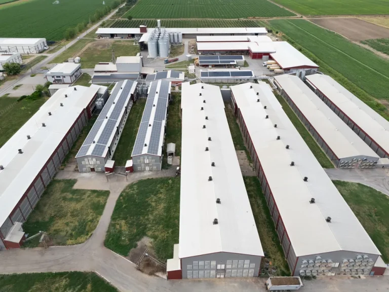 Shandong Mugong Farming Equipment Co., Ltd. Officially Completes and Commissions 1 Million Layers Modern Layer Chicken Full Industrial Chain Project in Haut-Katanga Province, Democratic Republic of the Congo