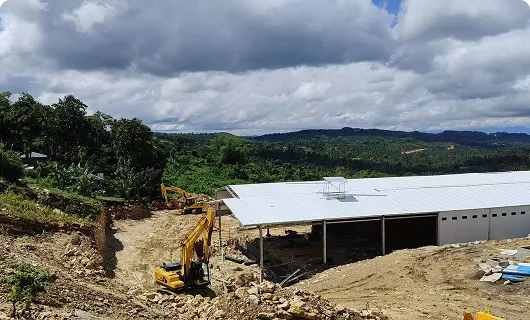 Large-Scale 200,000-Layer Chicken Farm InKenya