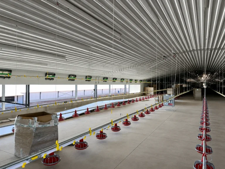  Poultry House Design: How to Plan a Modern Chicken House for Better Flock Performance