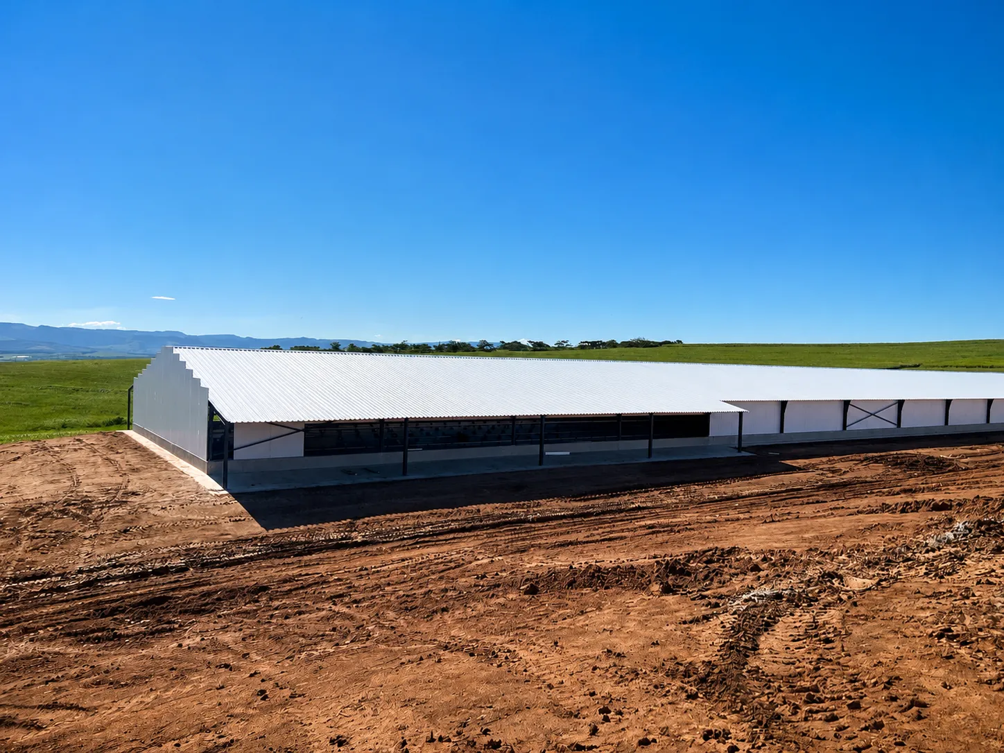 New Large-Scale Broiler Poultry Farming Project Launched in Mozambique with 3 Modern Poultry Houses & Automated Battery Cage System 2 New Large-Scale Broiler Poultry Farming Project Launched in Mozambique with 3 Modern Poultry Houses & Automated Battery Cage System 1